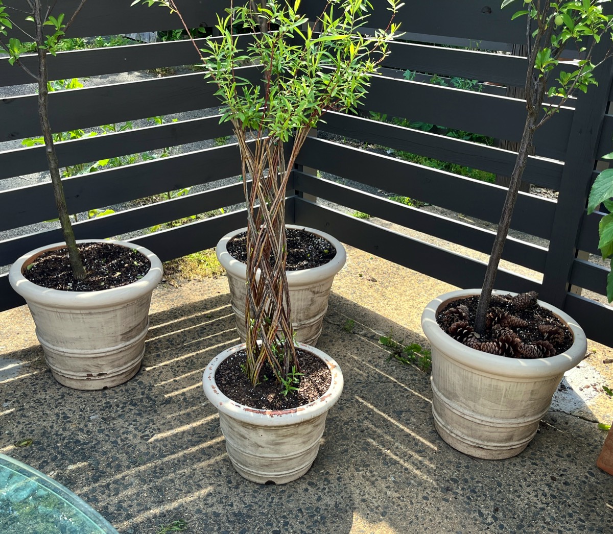 <b>Planters…