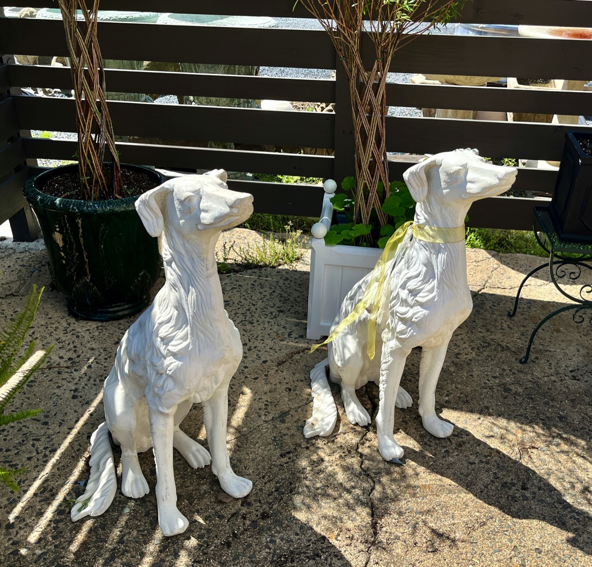 <b>Pooches</b><br>36 tall x 23 long inches